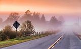 Foggy Road At Dawn_14853-4
